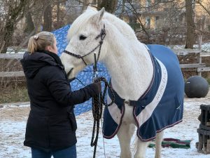 5325860c-8668-499a-8e08-c527121181db