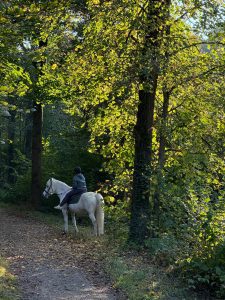 e4c683d6-ee50-42f1-a6f1-10fe7b342599